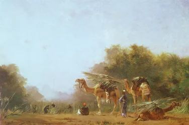 Árabes